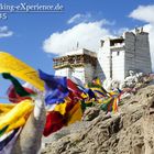 Ladakh 2015 - Burg Namgyal Tsemo