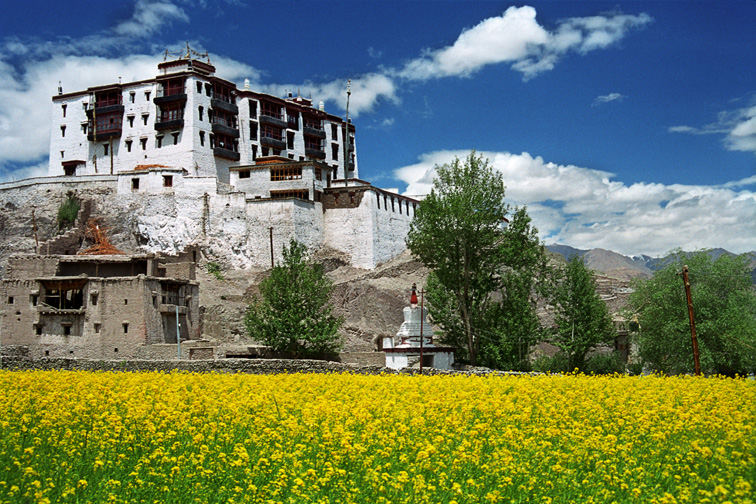 Ladakh Palace