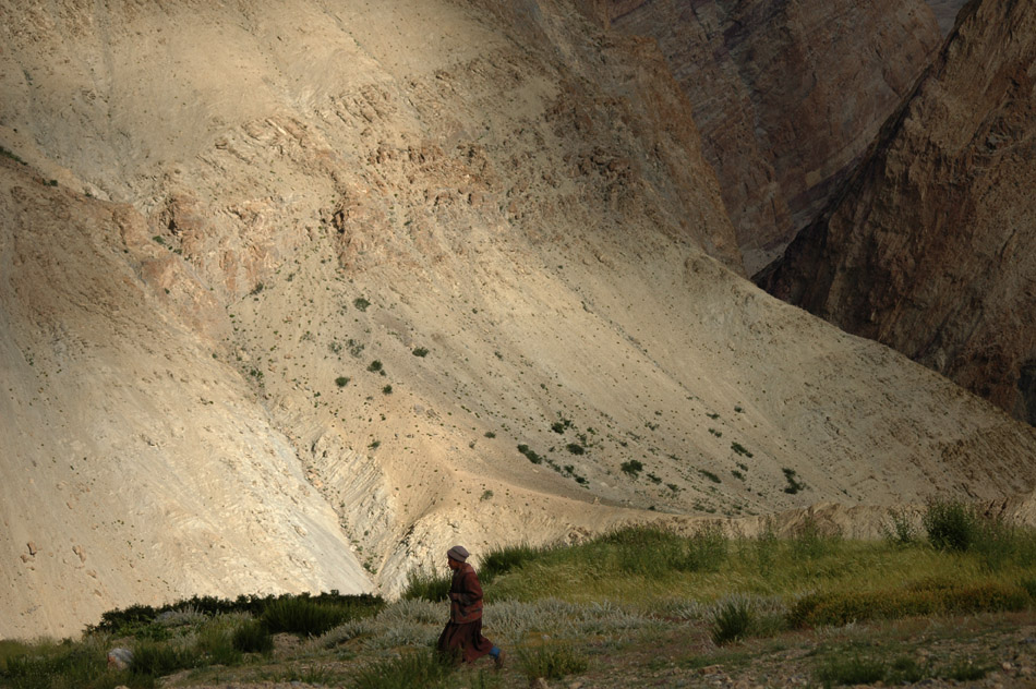 Ladakhi Frau