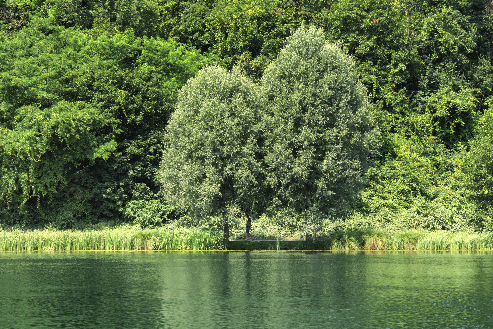 L'Adda dal battello