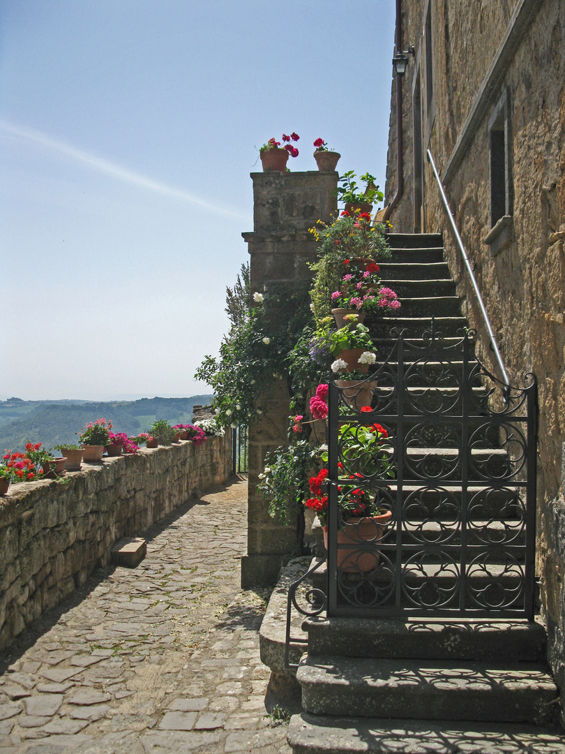 LADDER AND FLOWERS