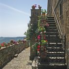 LADDER AND FLOWERS