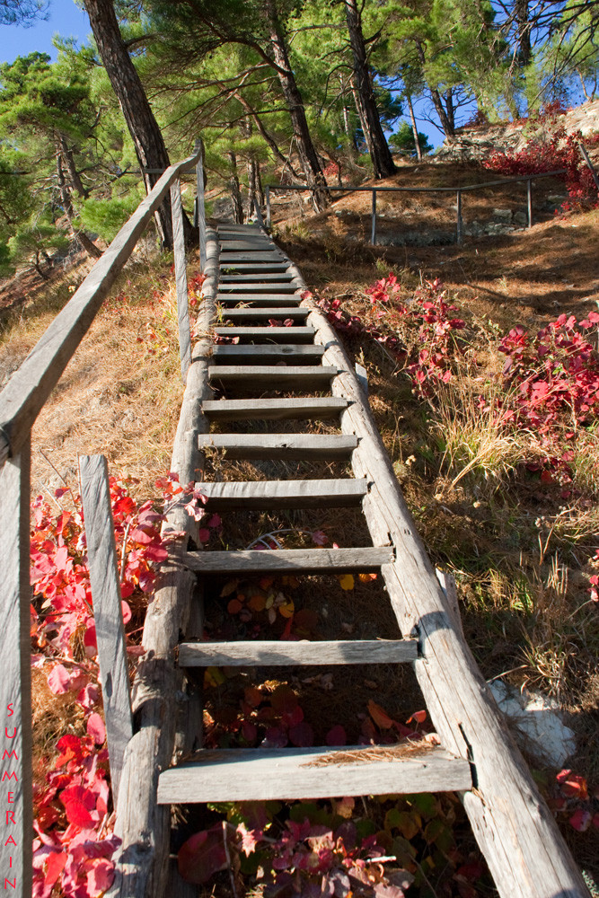 ladder to the summer