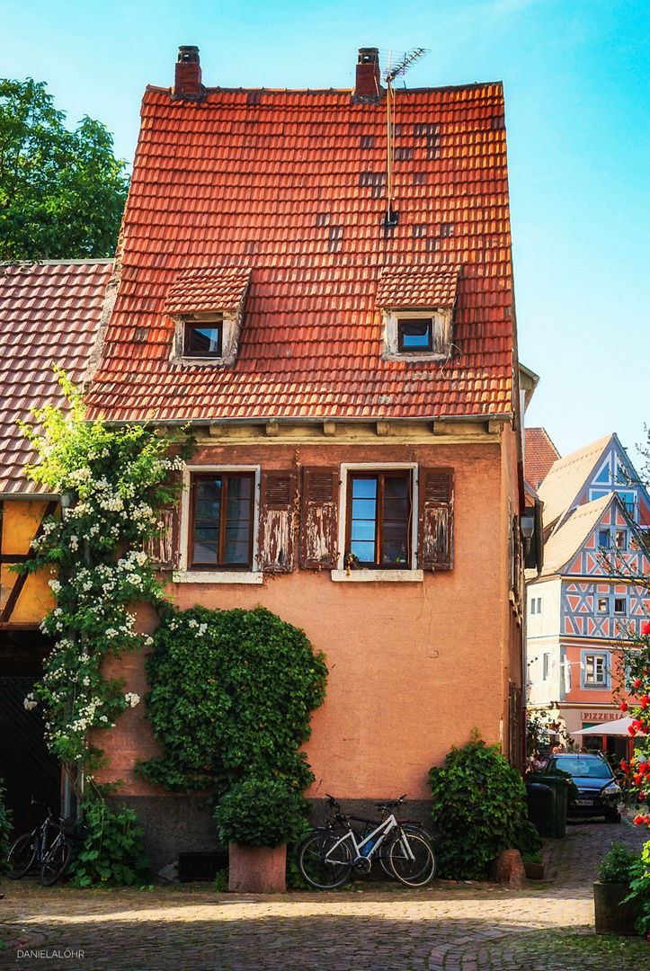 Ladenburg-Altstadt 