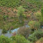 LADERA DE ENCINAS