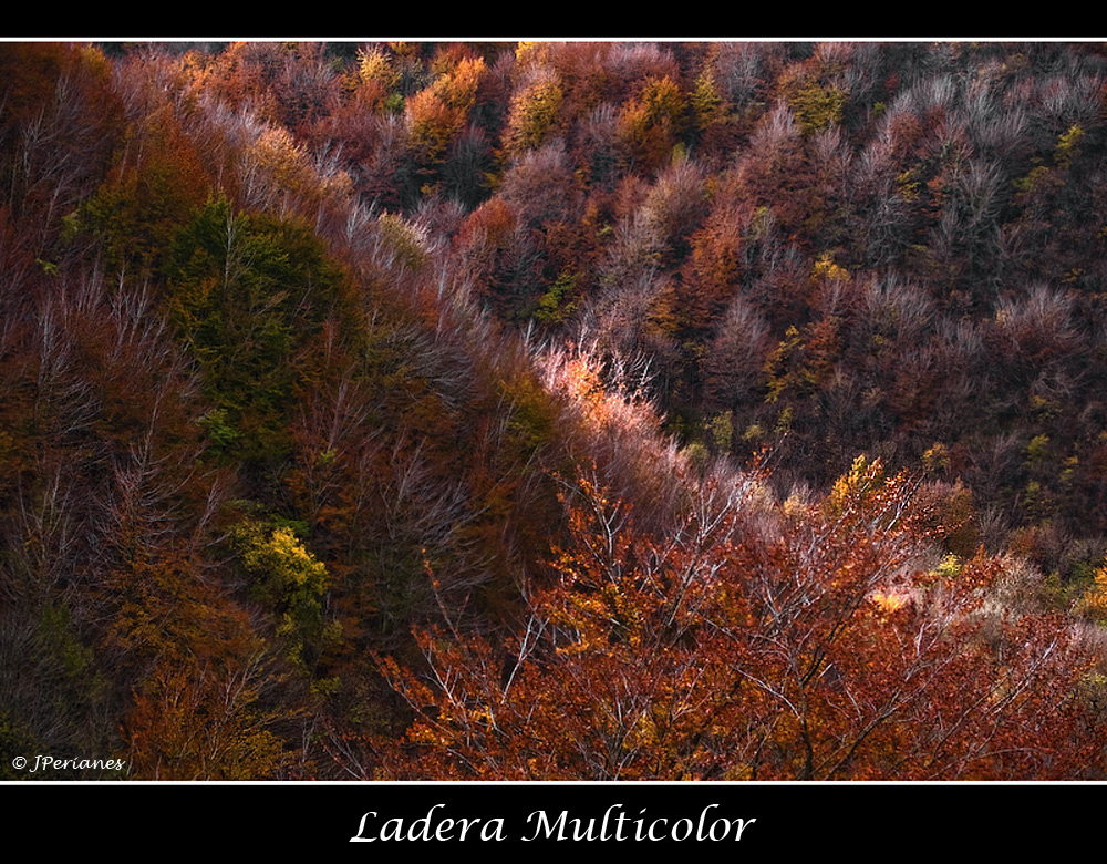 Ladera Multicolor