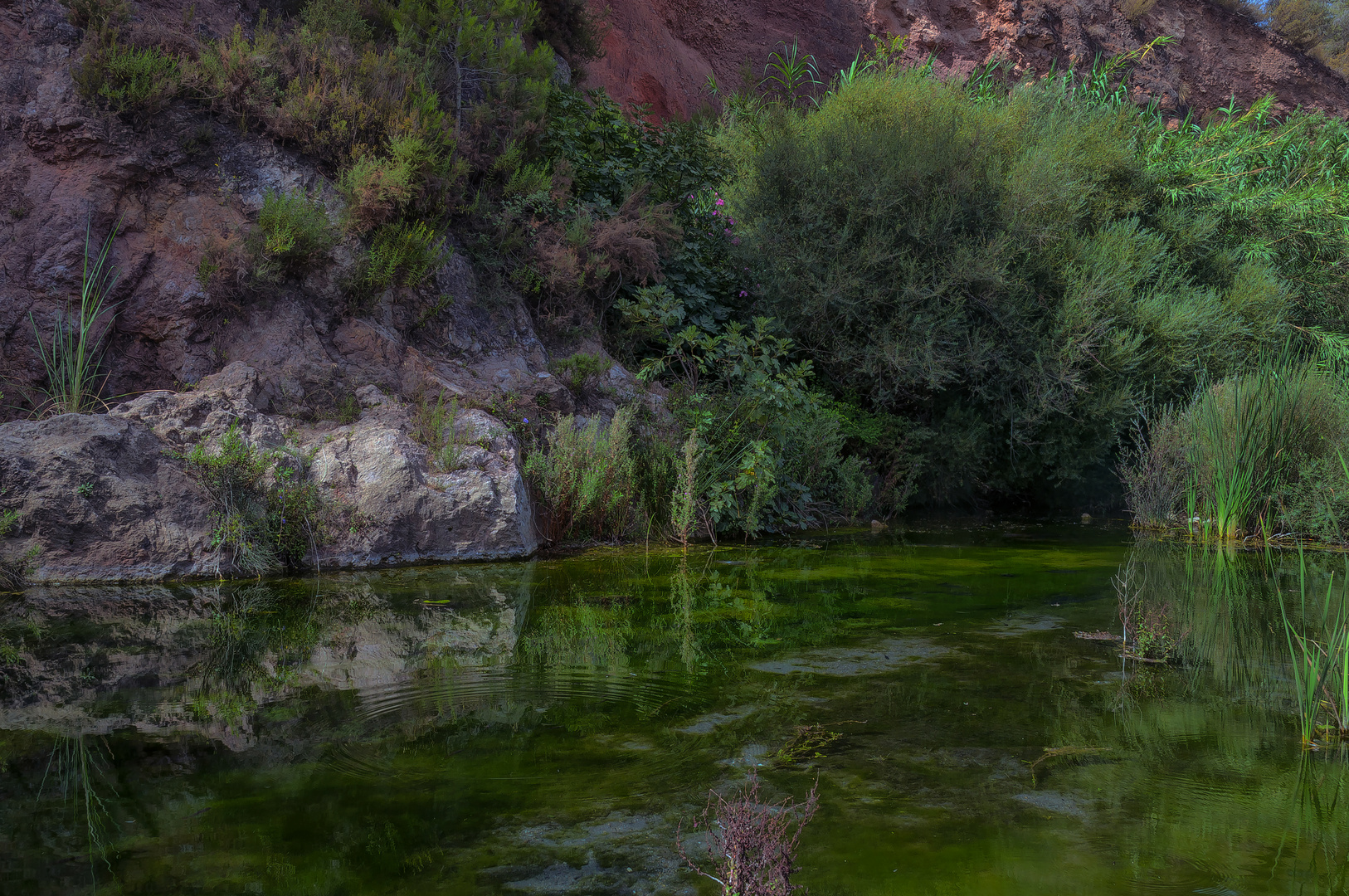 LADERA VERDE