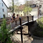 Ladies in Ellwangen inmitten schönster Natur