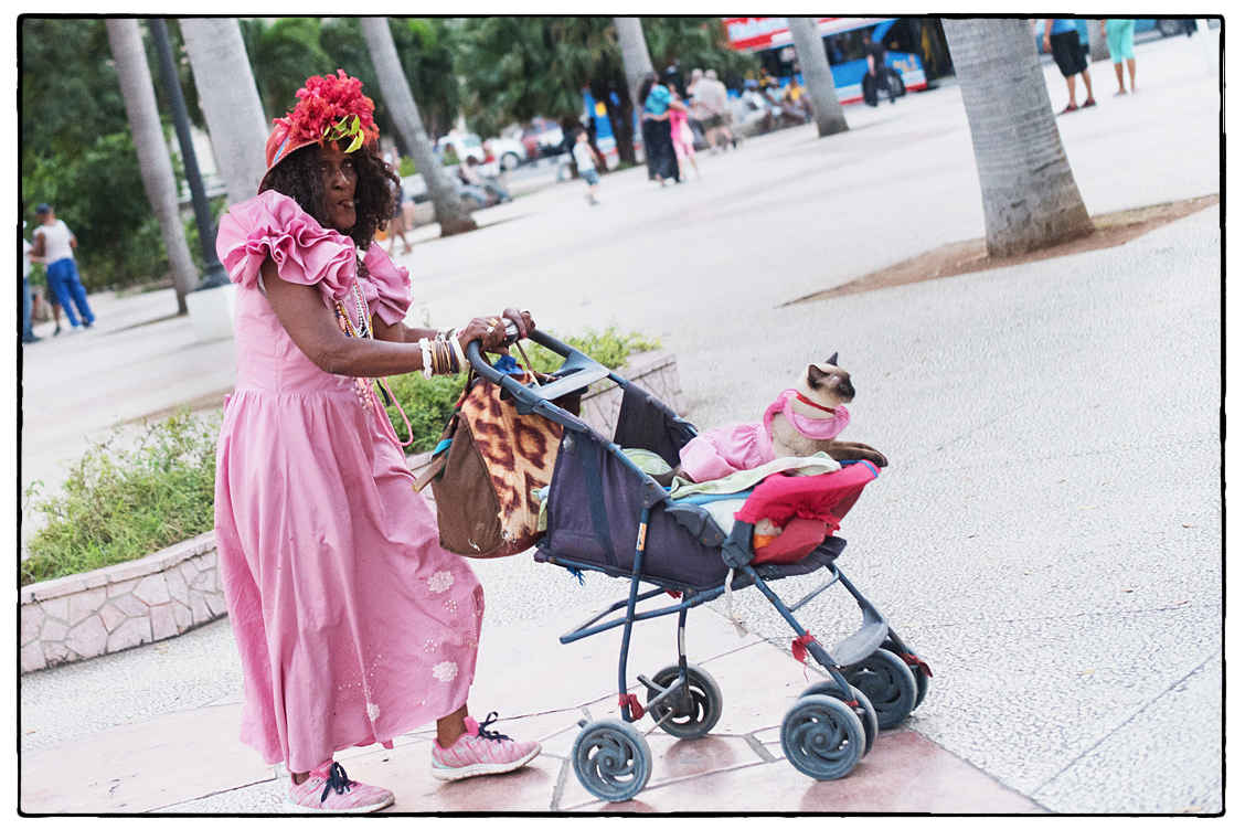 ladies in pink