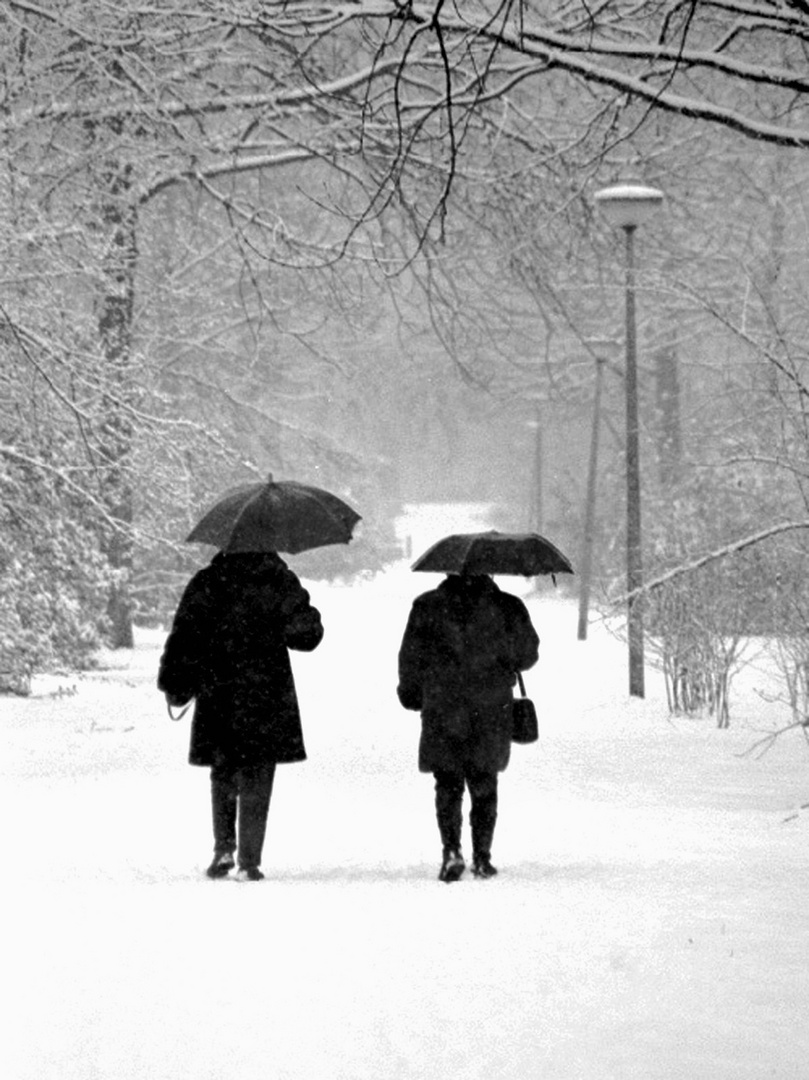 Ladies in the snow