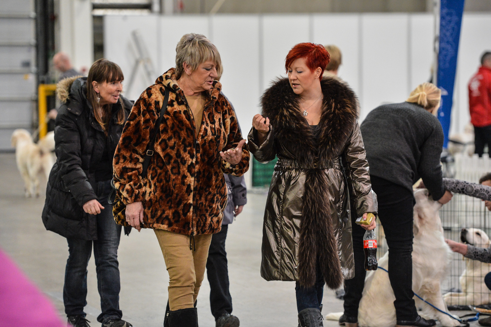 Ladies on a dogshow