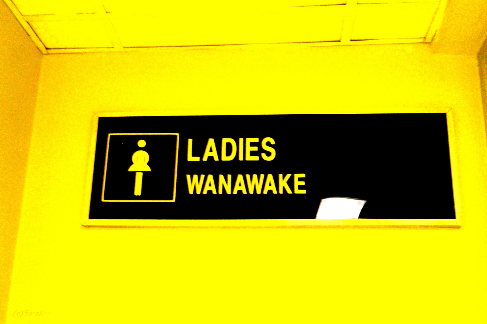 Ladies Room