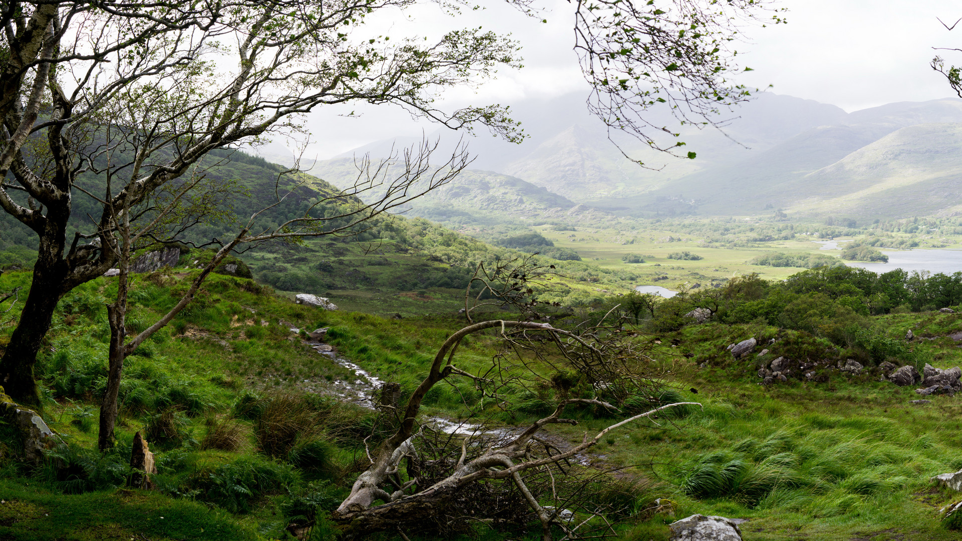 Ladies View, Irland