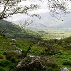 Ladies View, Irland