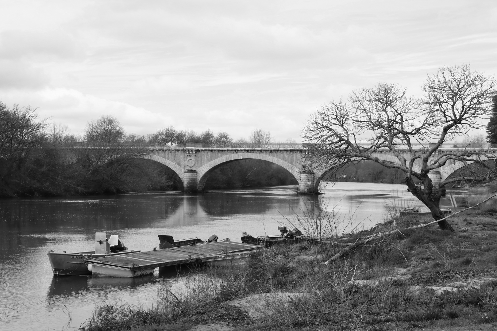 L'Adour à Saubusse ( Landes )