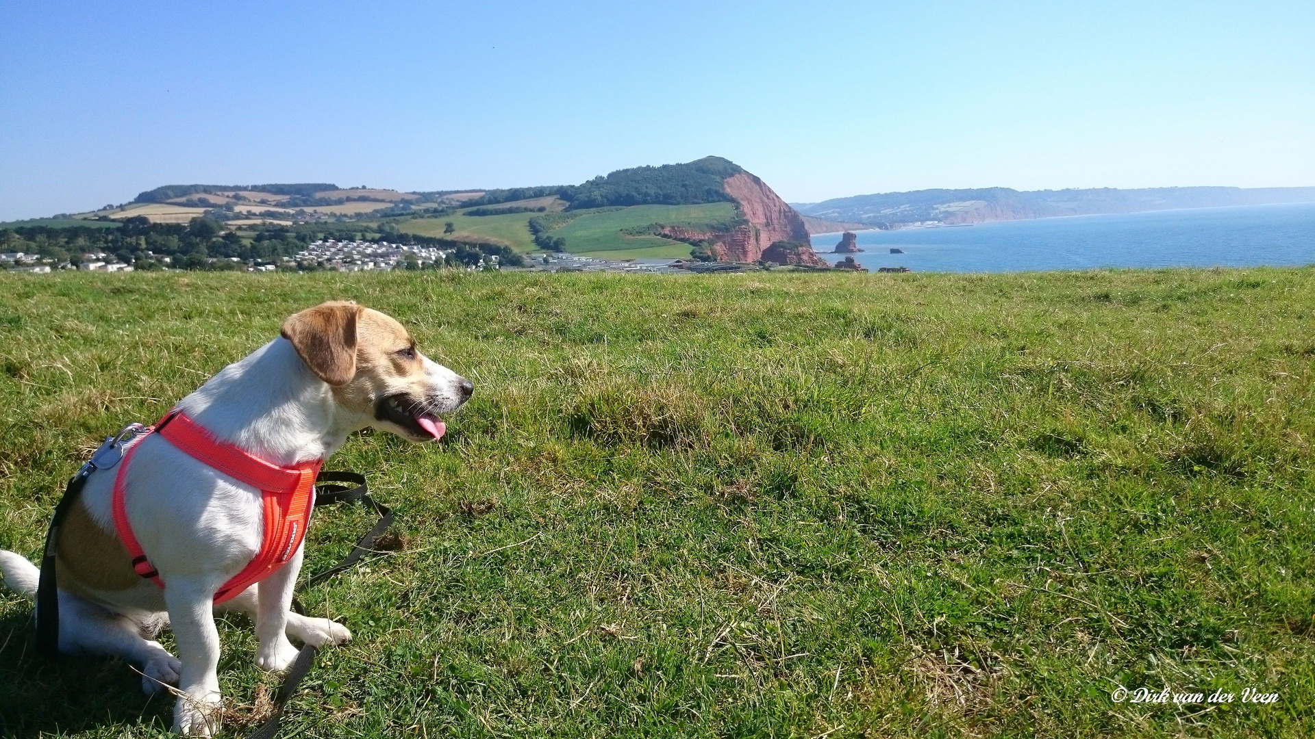 Ladram Bay 02, UK