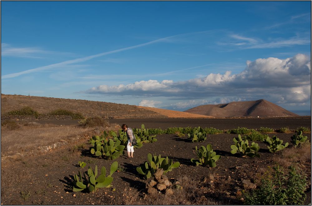 Lady and the Cactus