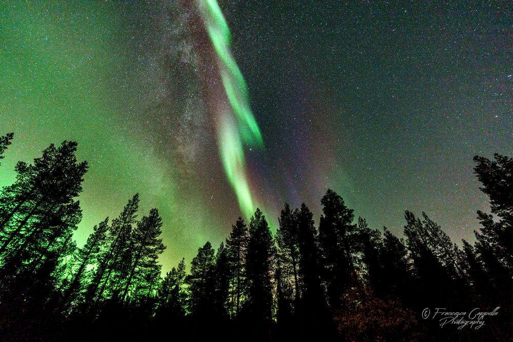 Lady Aurora and the Milkyway