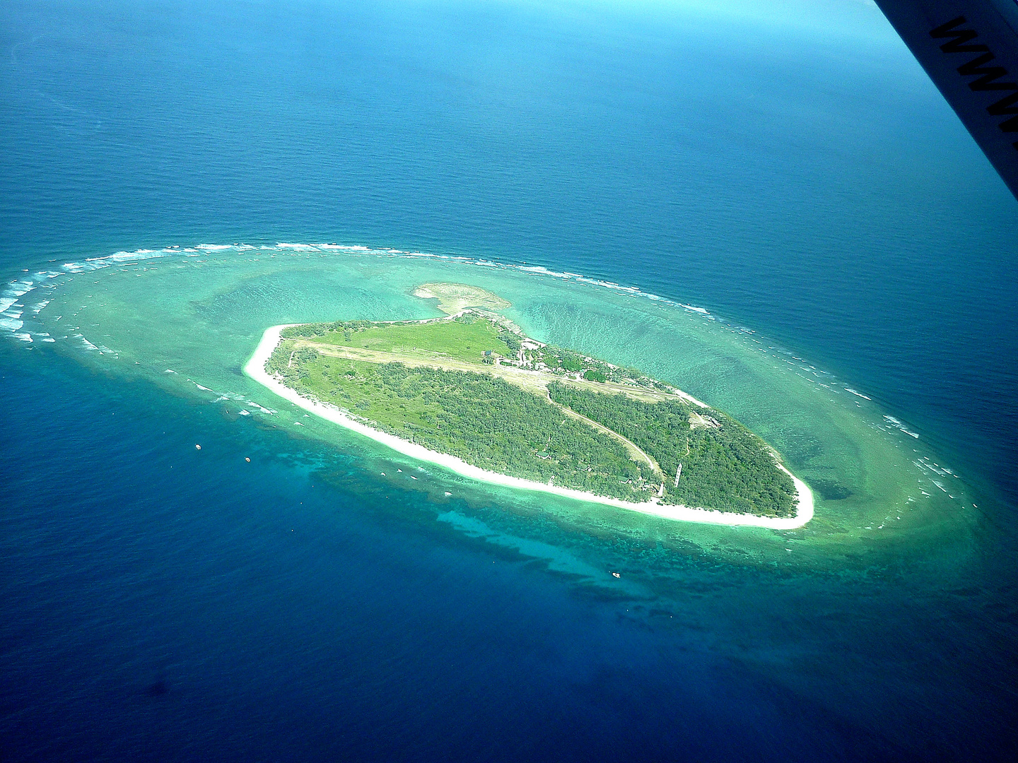 Lady Elliot Island