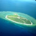 Lady Elliot Island