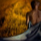 Lady in blue looking over cornfield