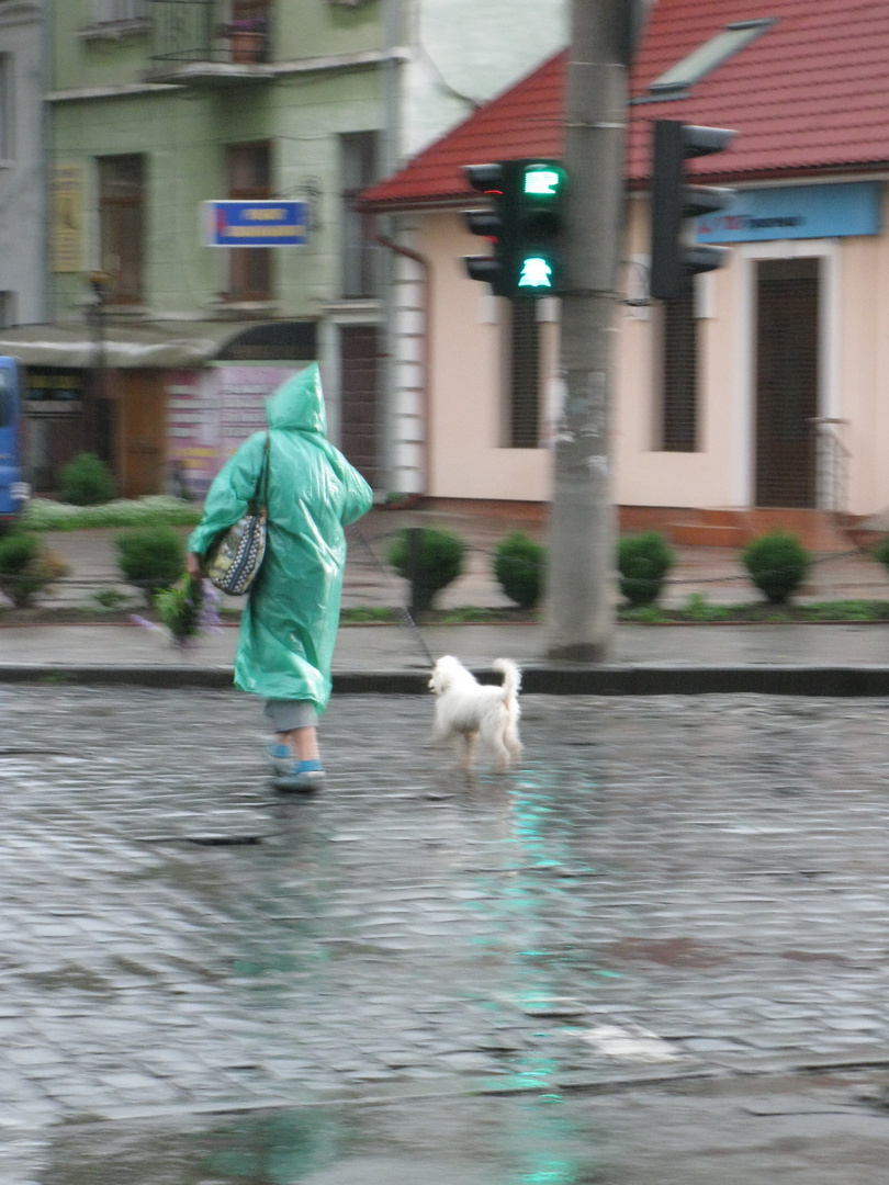 lady in green with white dog