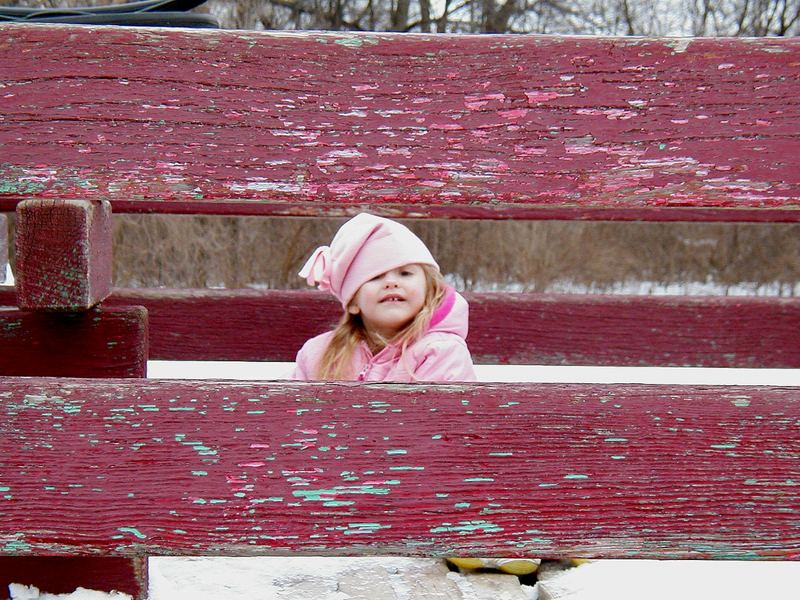 Lady in Pink