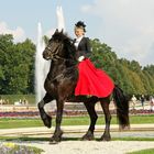 Lady in Red