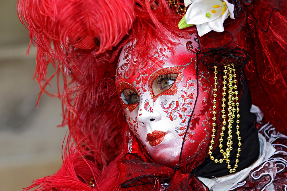 Lady in Red 2011