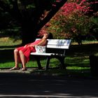 Lady in red !