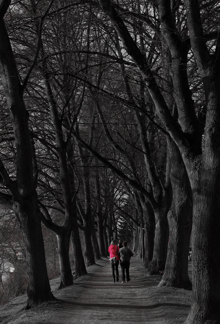 Lady in red