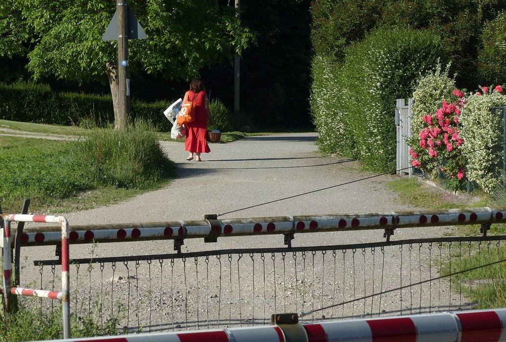 Lady in Red