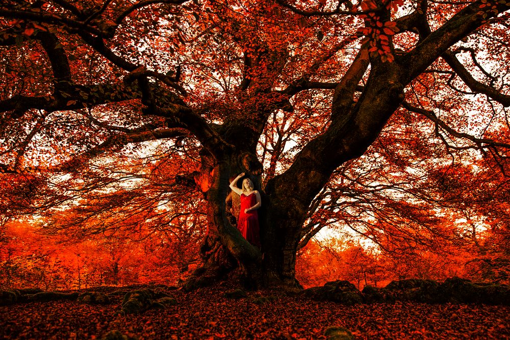 Lady in red