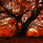 Lady in red