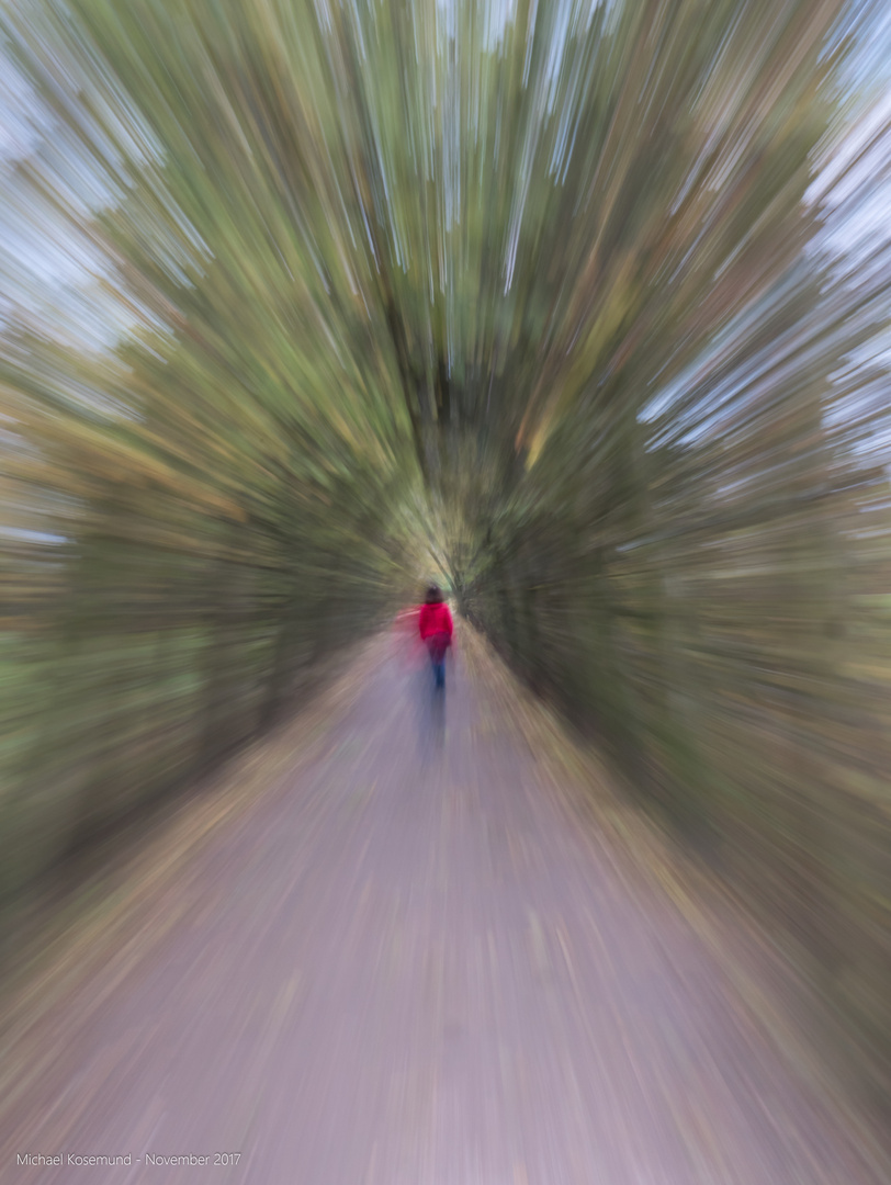 Lady in red - in motion II