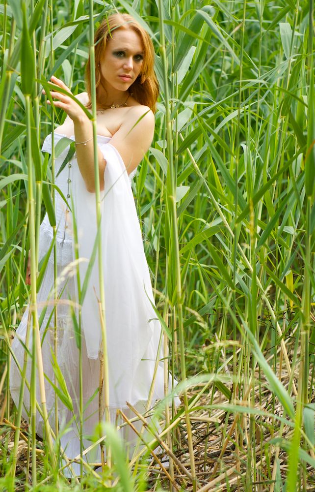 Lady in Reed