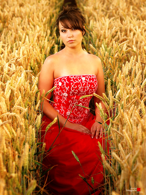 Lady in the fields