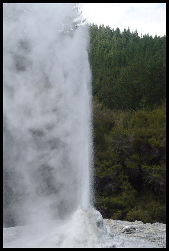 Lady Knox Geyser