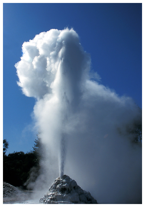 Lady Knox Geysir