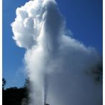 Lady Knox Geysir