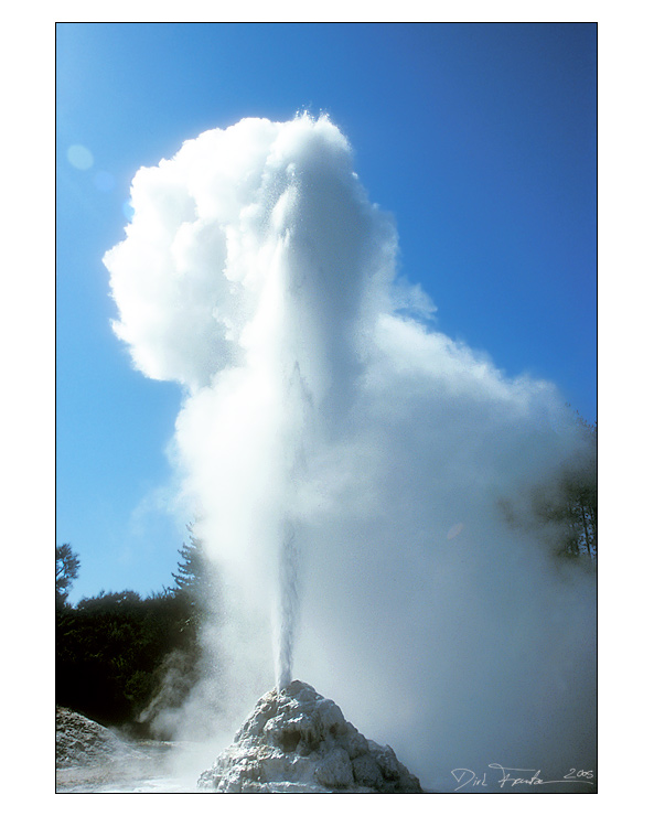 Lady Knox Geysir