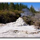 Lady Knox Geysir