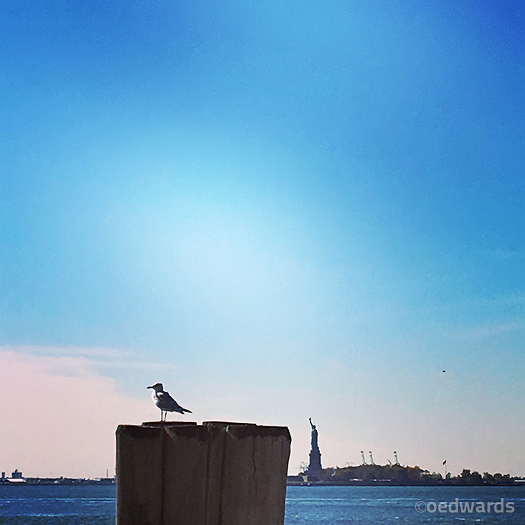 Lady Liberty y su leal vigía la gaviota