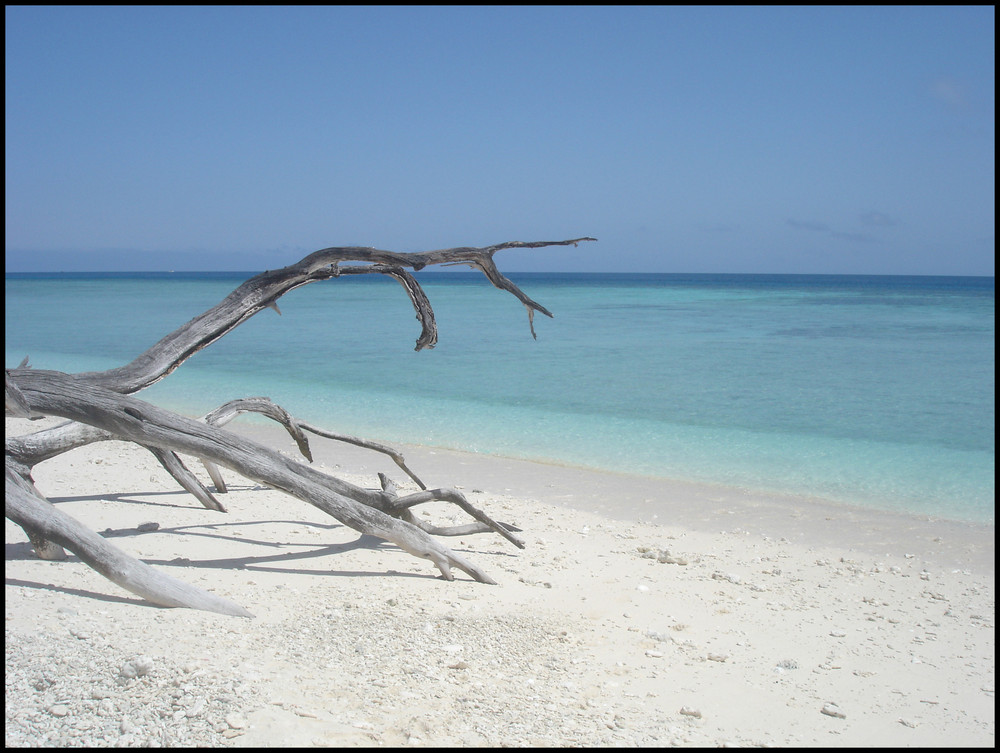 Lady Musgrave Island