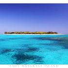 Lady Musgrave Island