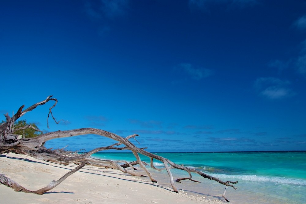 Lady Musgrave Island