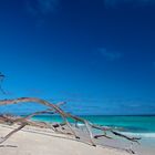 Lady Musgrave Island