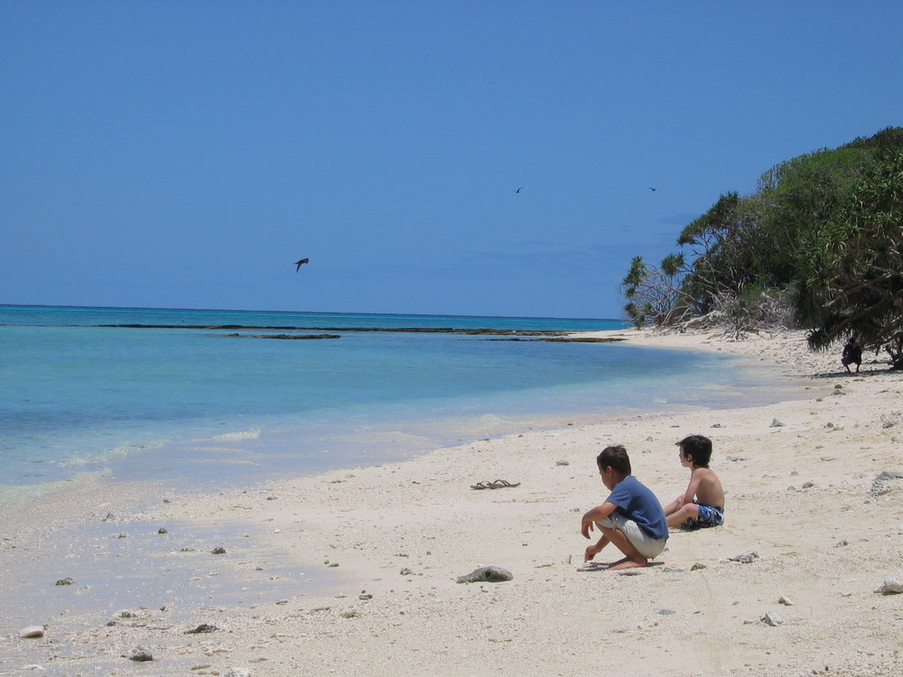 Lady Musgrave Island