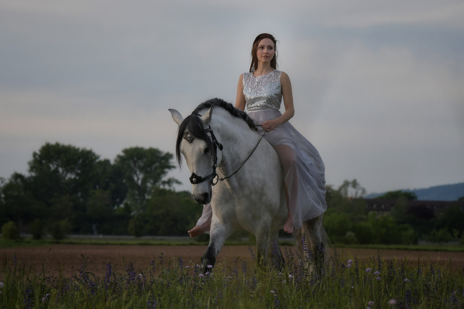 Lady on horseback