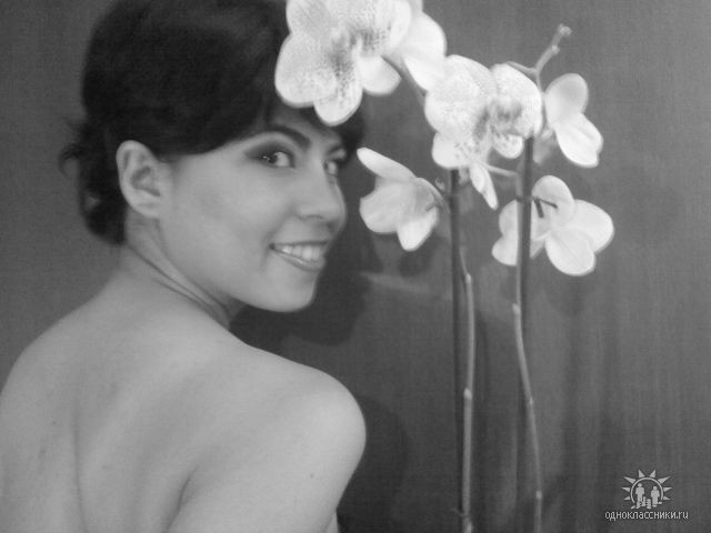 Lady Orchid